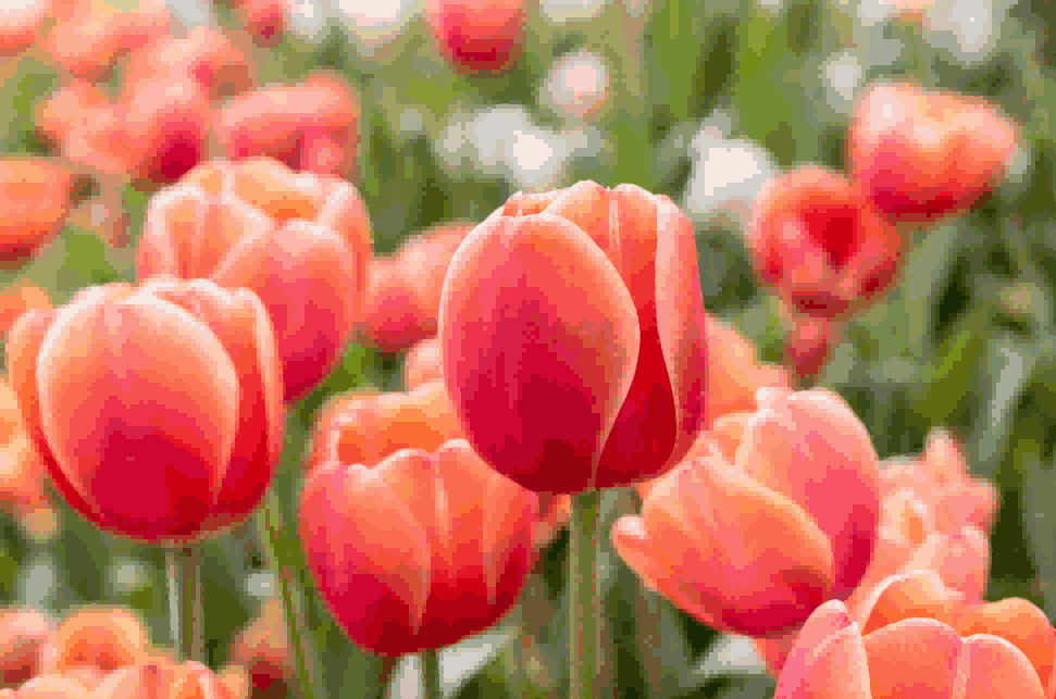 海关数据,EVO视讯官网海关数据,荷兰海关数据